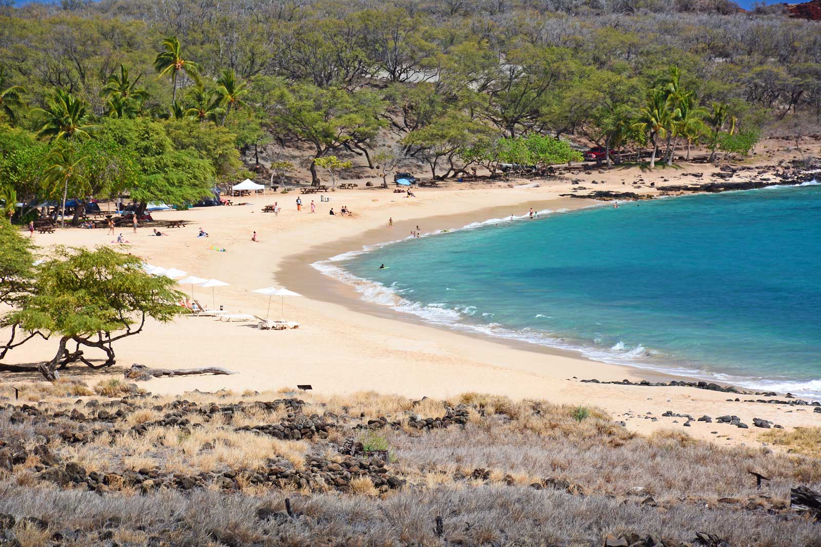 Things to do in Lanai Hulopoe Beach