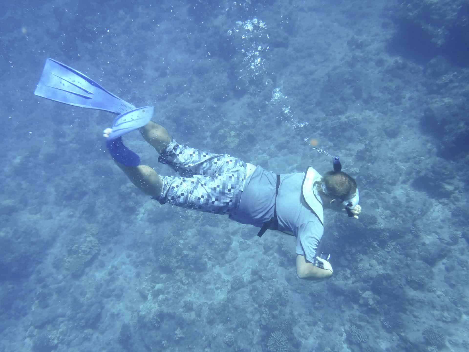 lanai things to do - snorkeling