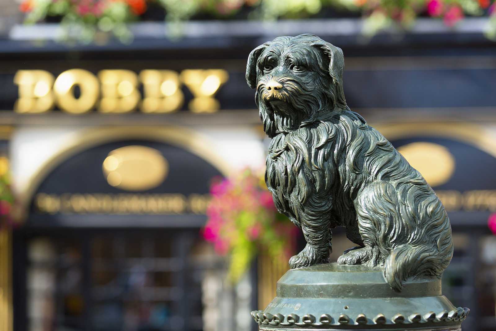 Greyfriar's Bobby best things to do in Edinburgh