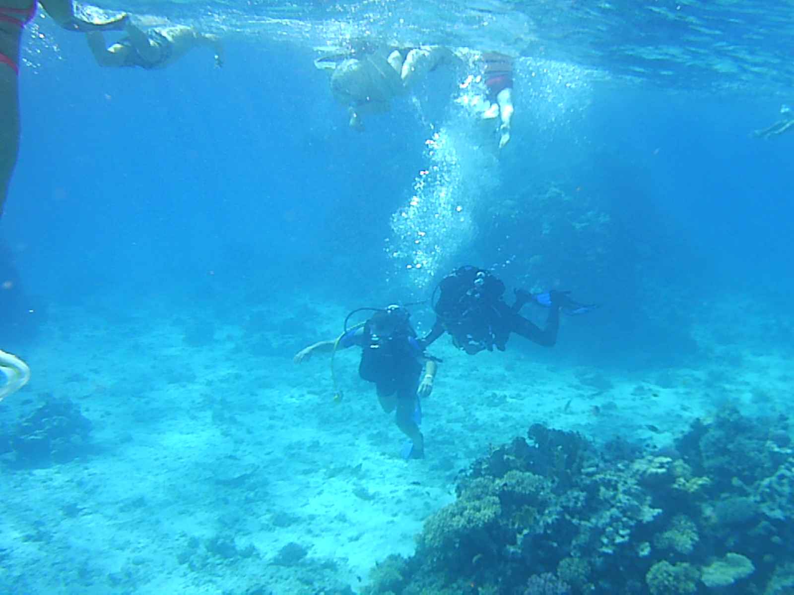 Best Things To Do in Aruba Jads Diving Center