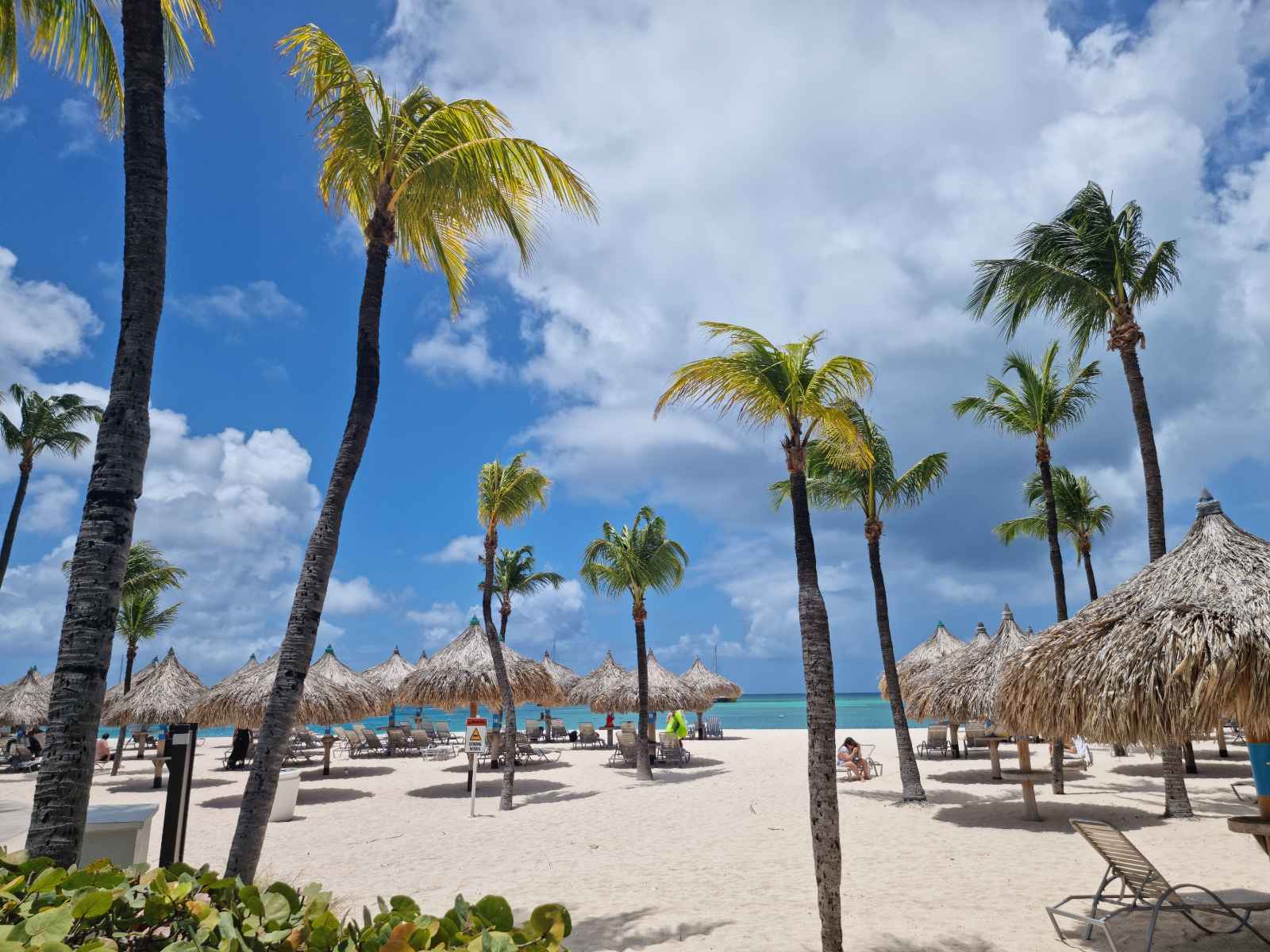 Best Things To Do in Aruba De Palm Island