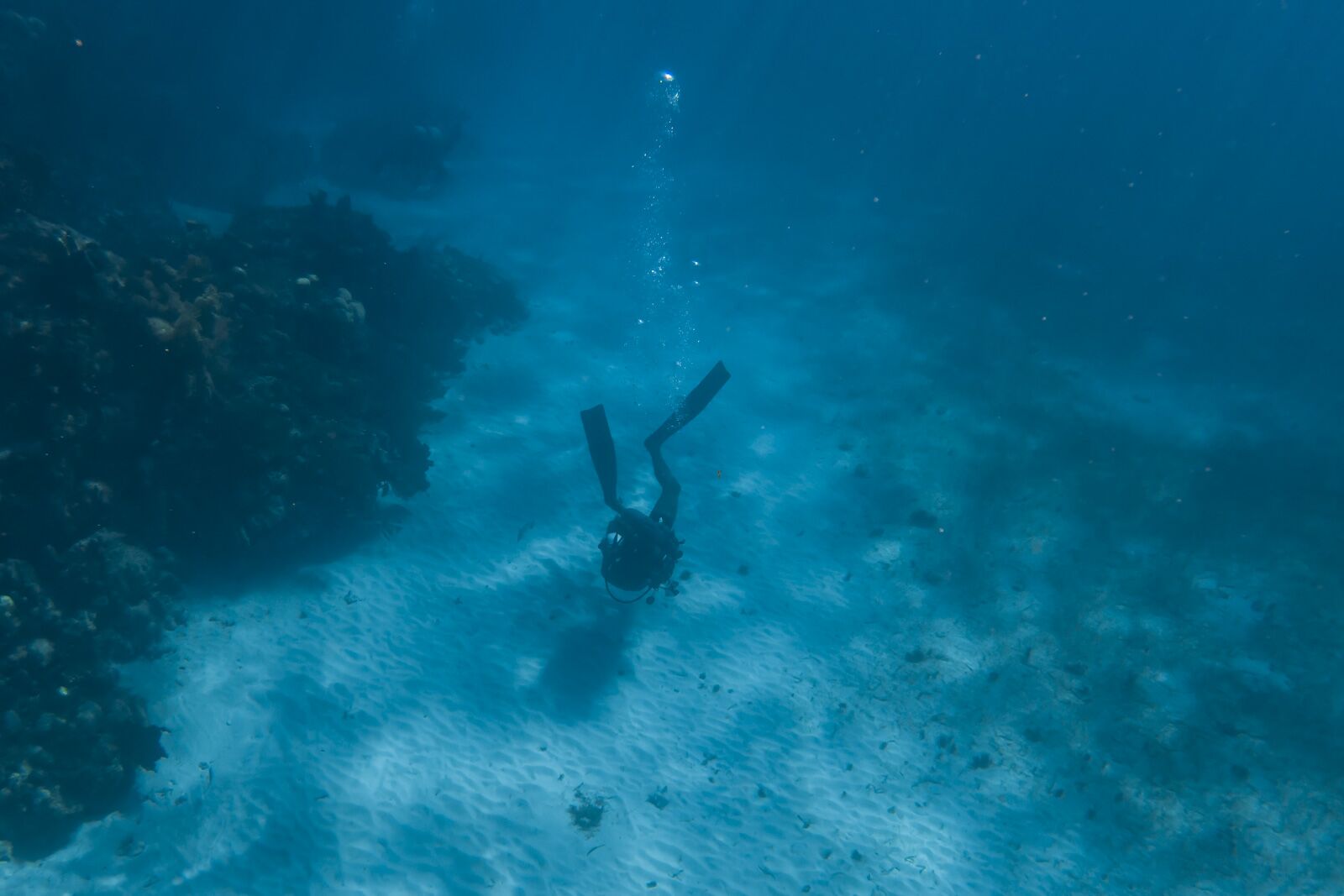 Best things to do in Caye Caulker Scuba Diving