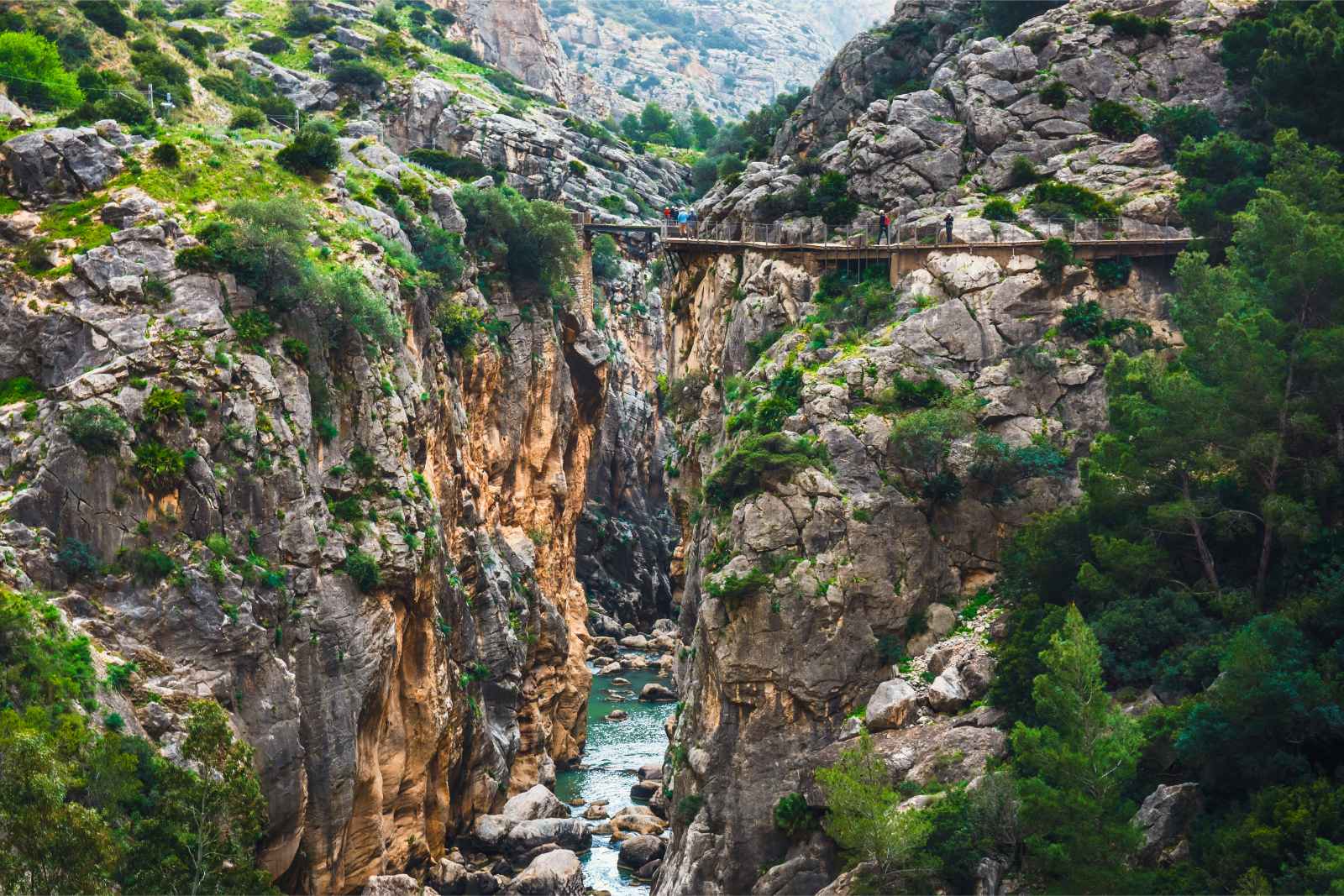 Best Things To Do  In Malaga Caminito del Rey