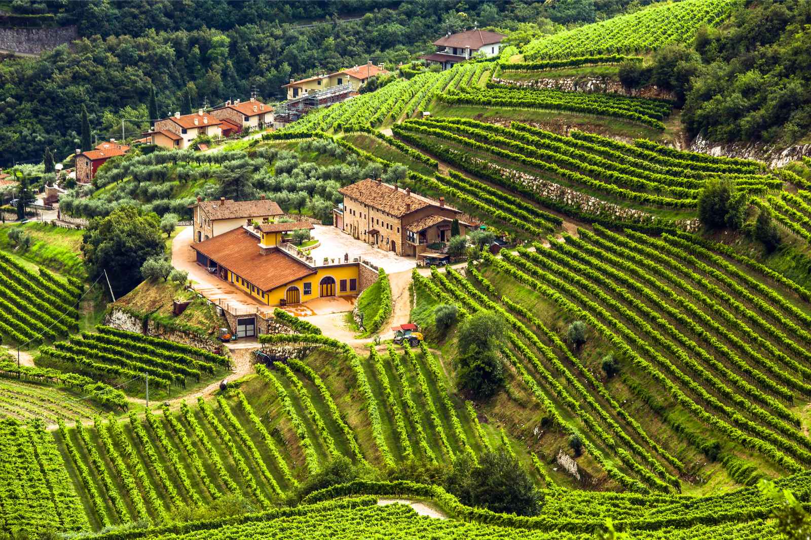 Things to Do in Verona Valpolicella Valley