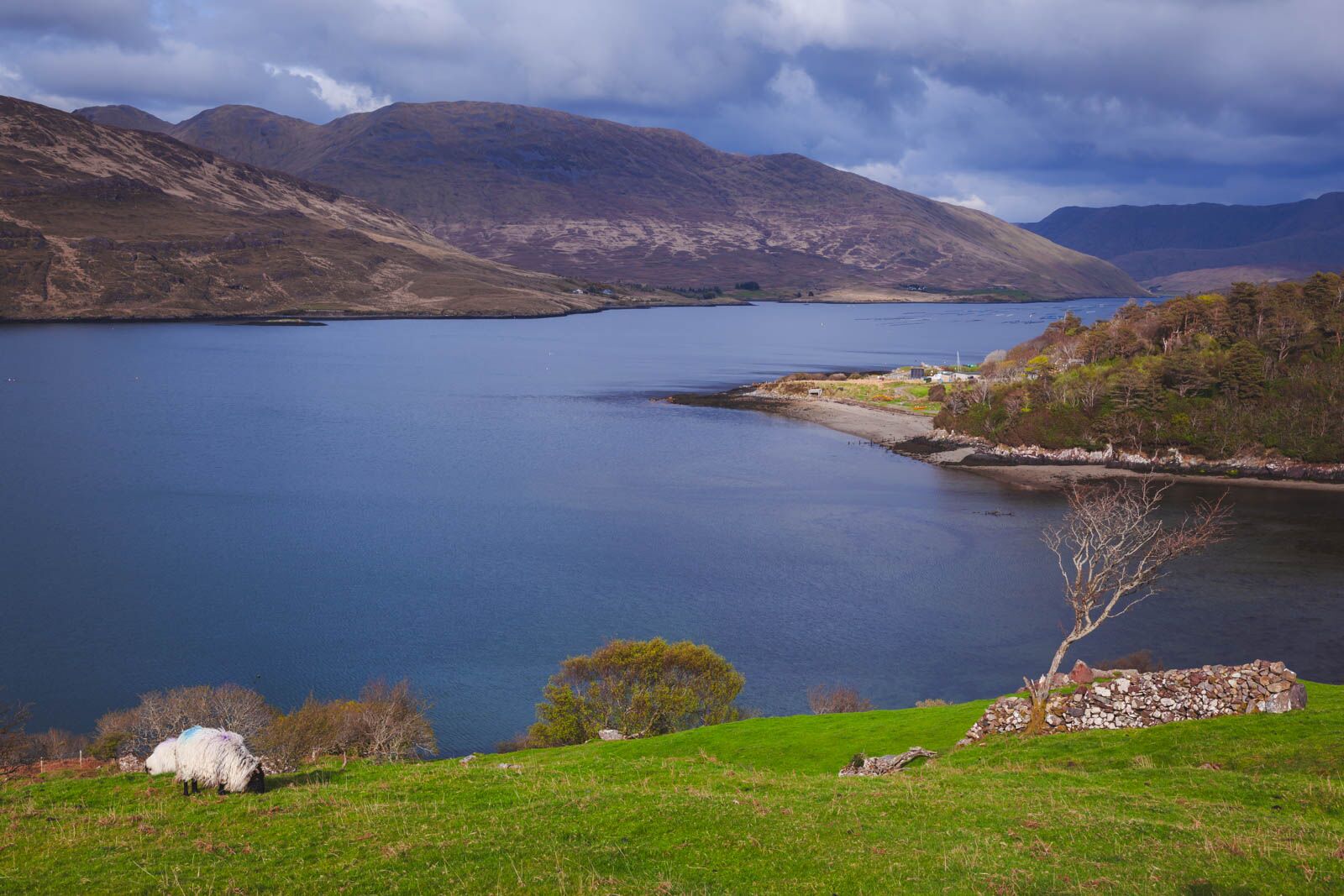 Fun things to do in Galway Ireland Connemara National Park 