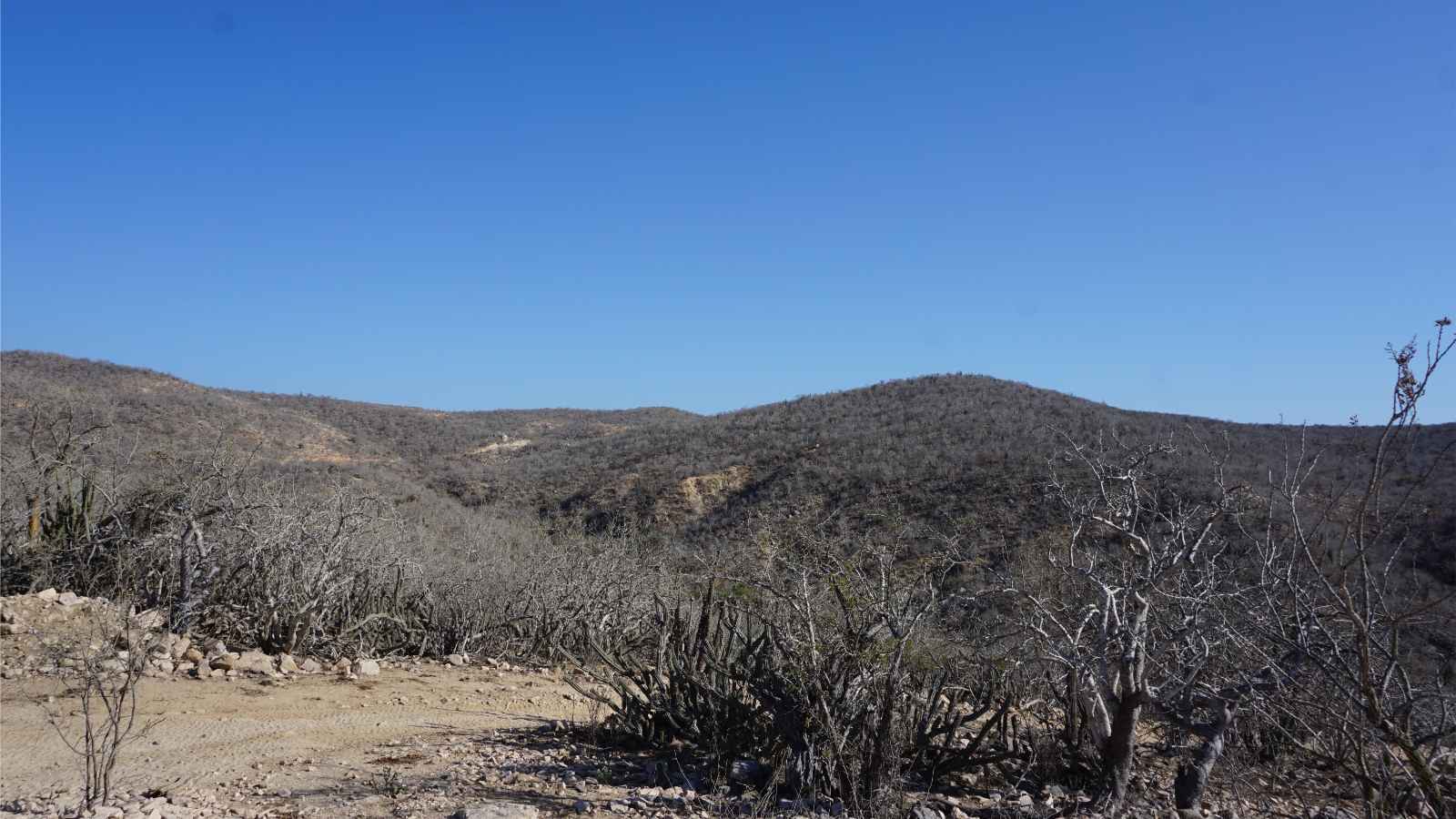 Things to do In San Jose Del Cabo Hike to Cerro De Las Chivas