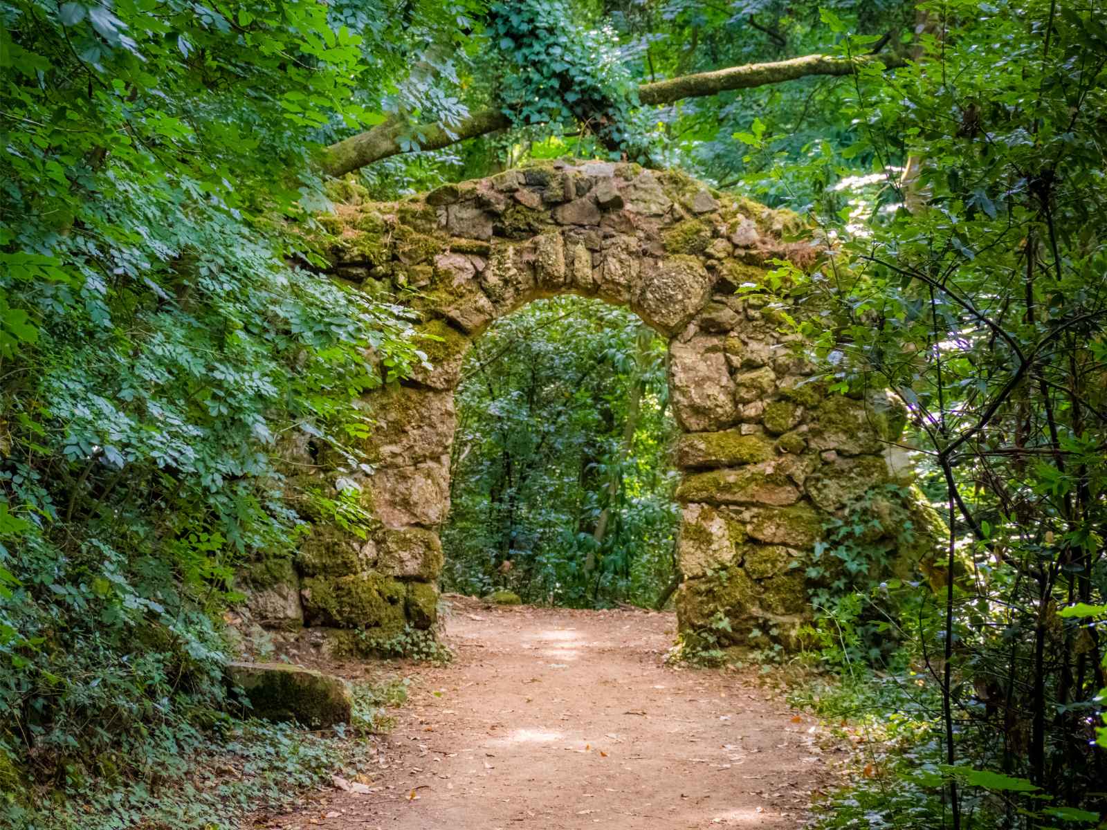 Things to do in Portugal Bucaco National Forest