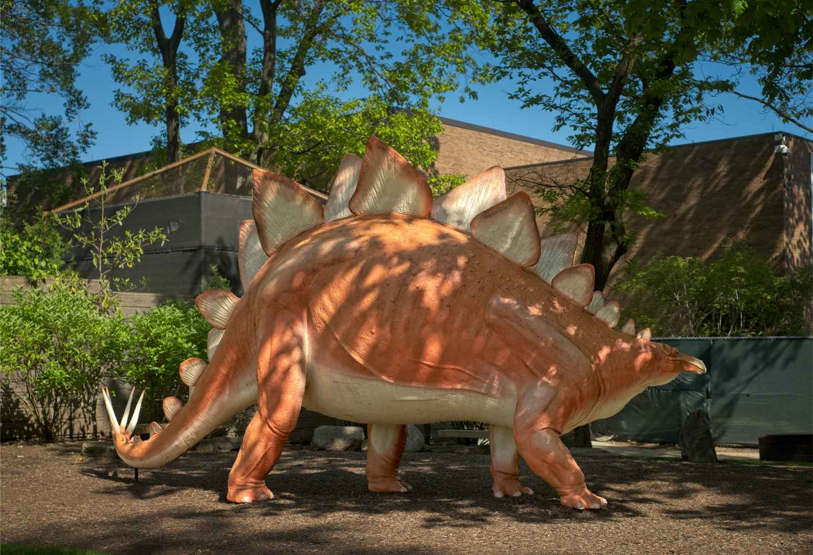 Things to do in Cleveland Museum of Natural History