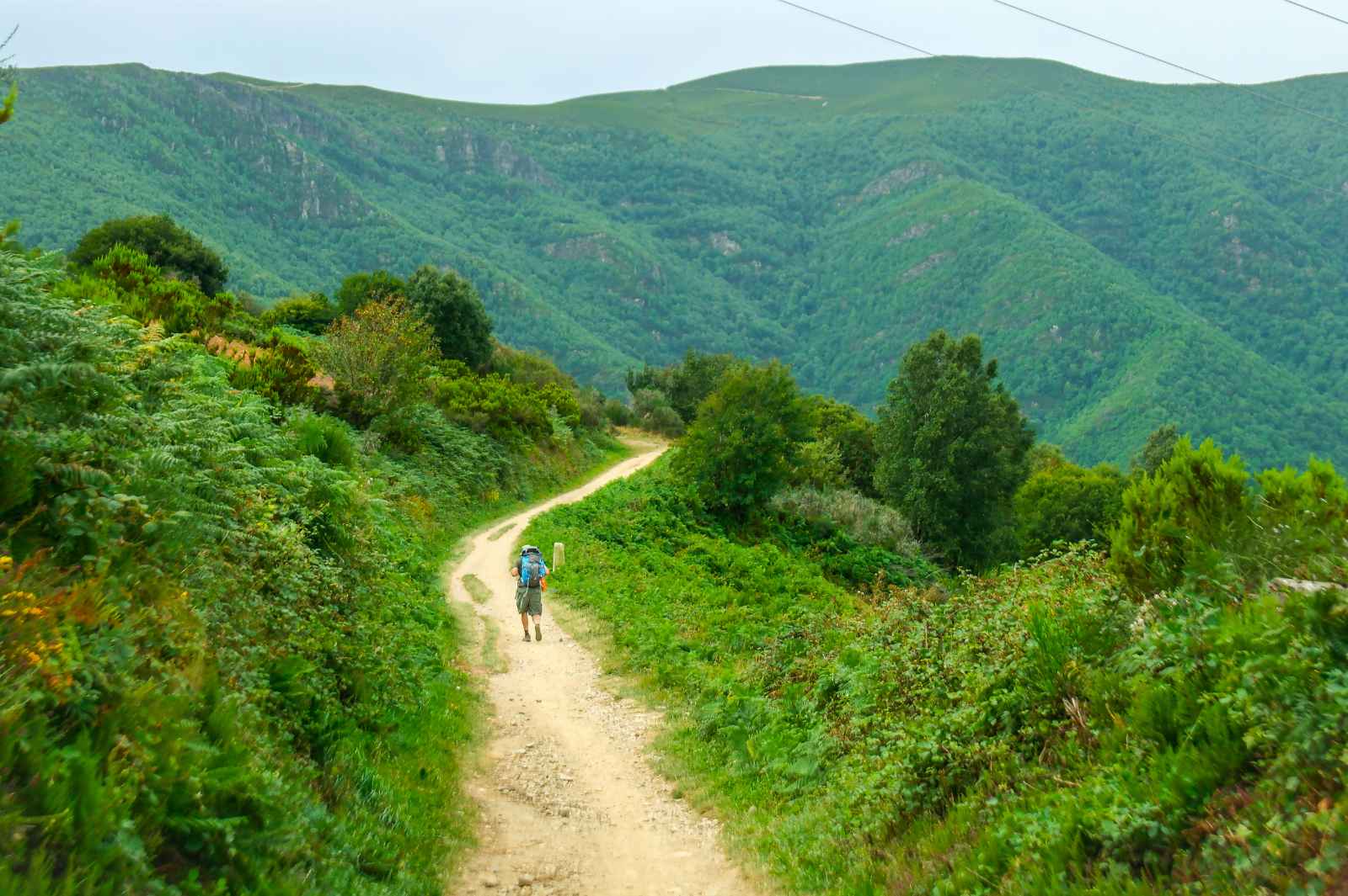 Things to do in Spain Camino de Santiago