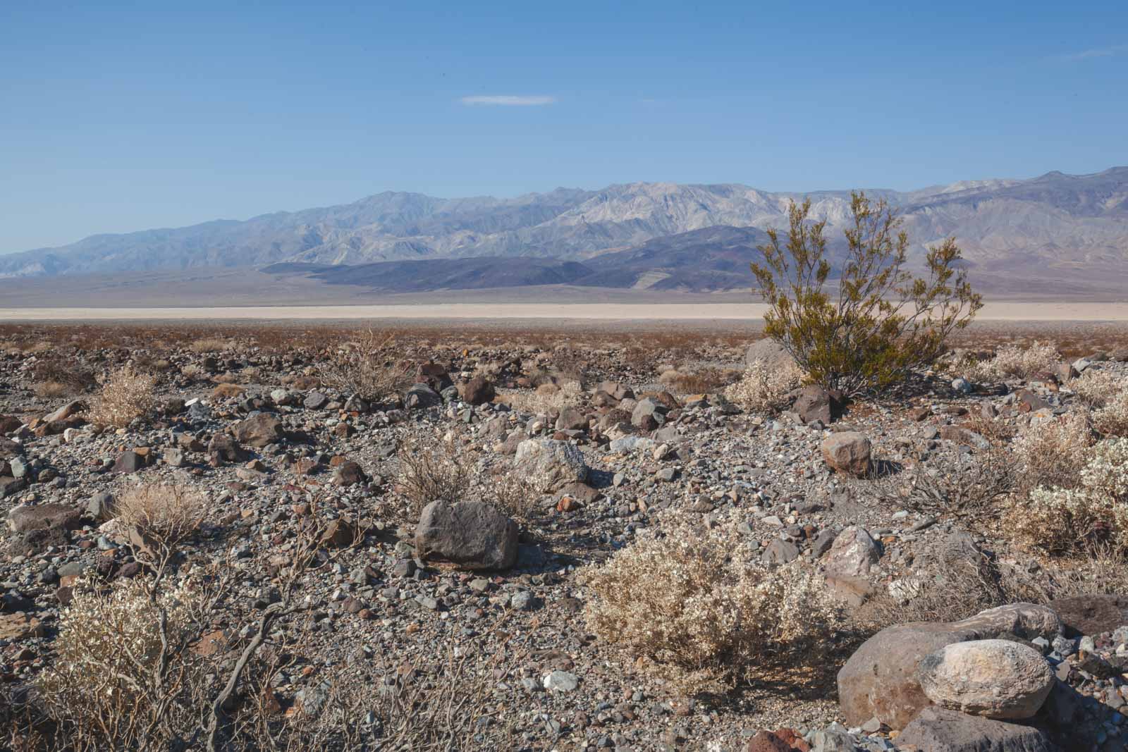 Death Valley National Park  Visiting in March