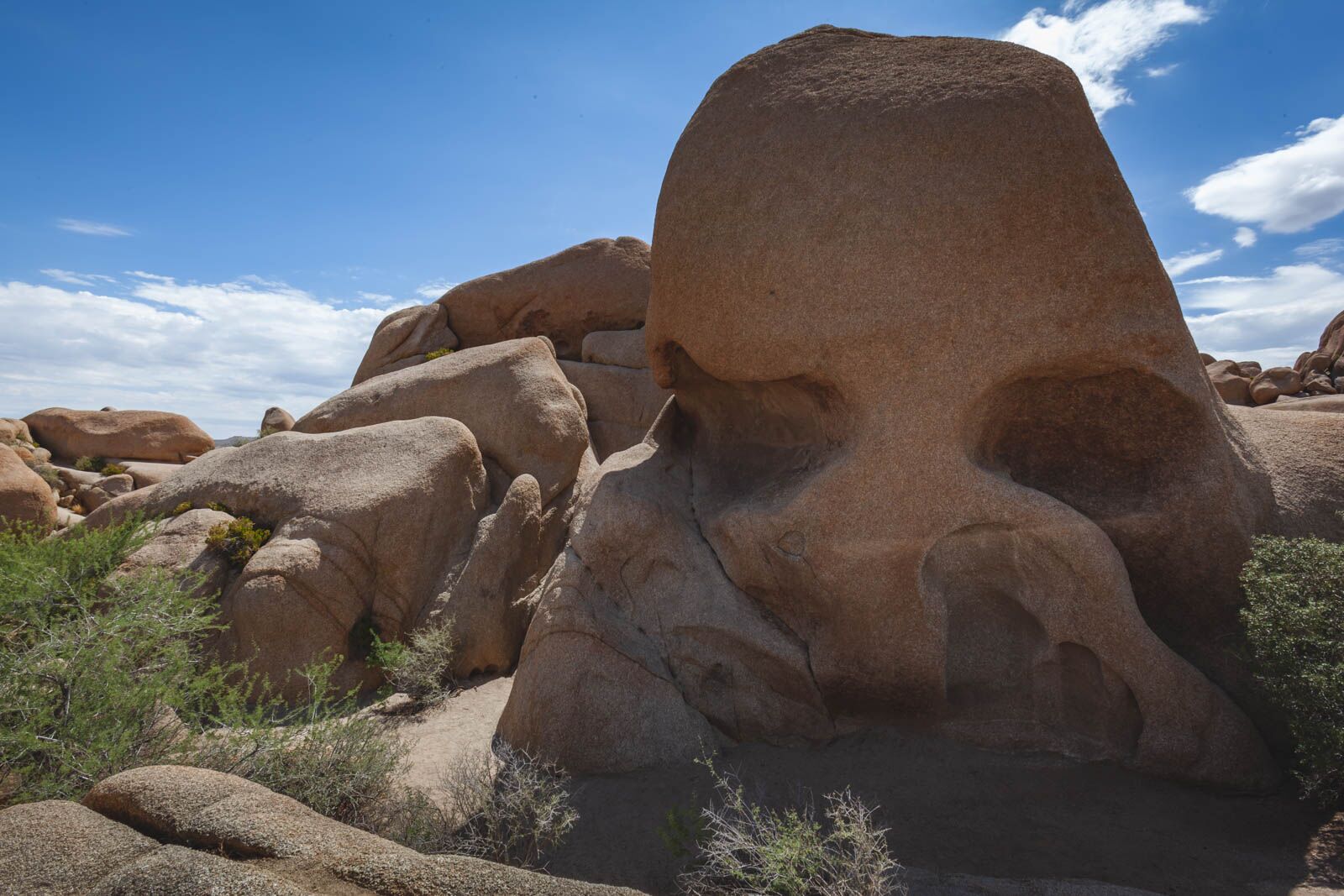 Visiting Joshua Tree National Park in March USA