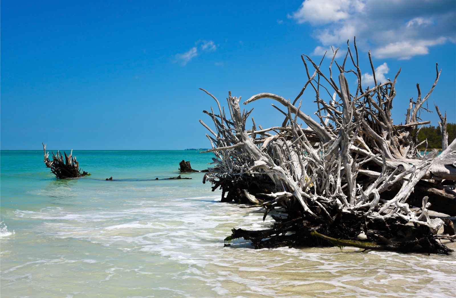 Where to Stay in Sarasota Longboat Key Driftwood