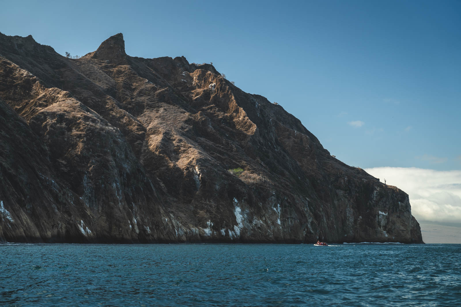 Where are the Galapagos Islands Located