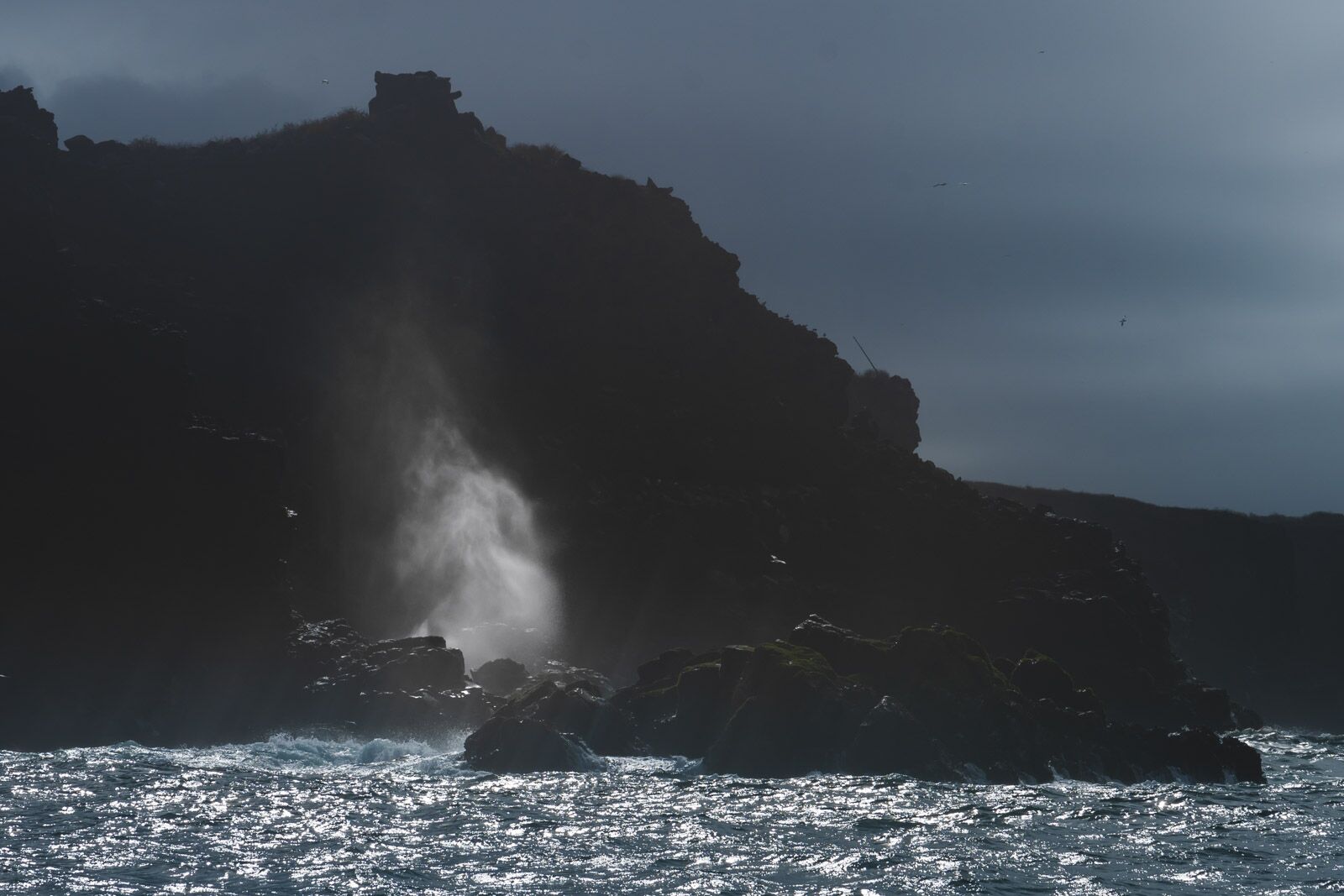 Espanola Island on our Galapagos Cruise