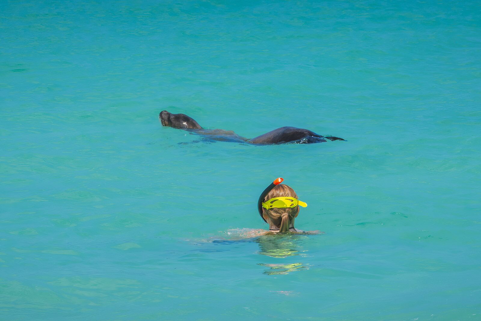 Galapagos Cruises San Cristobal Snorkeling