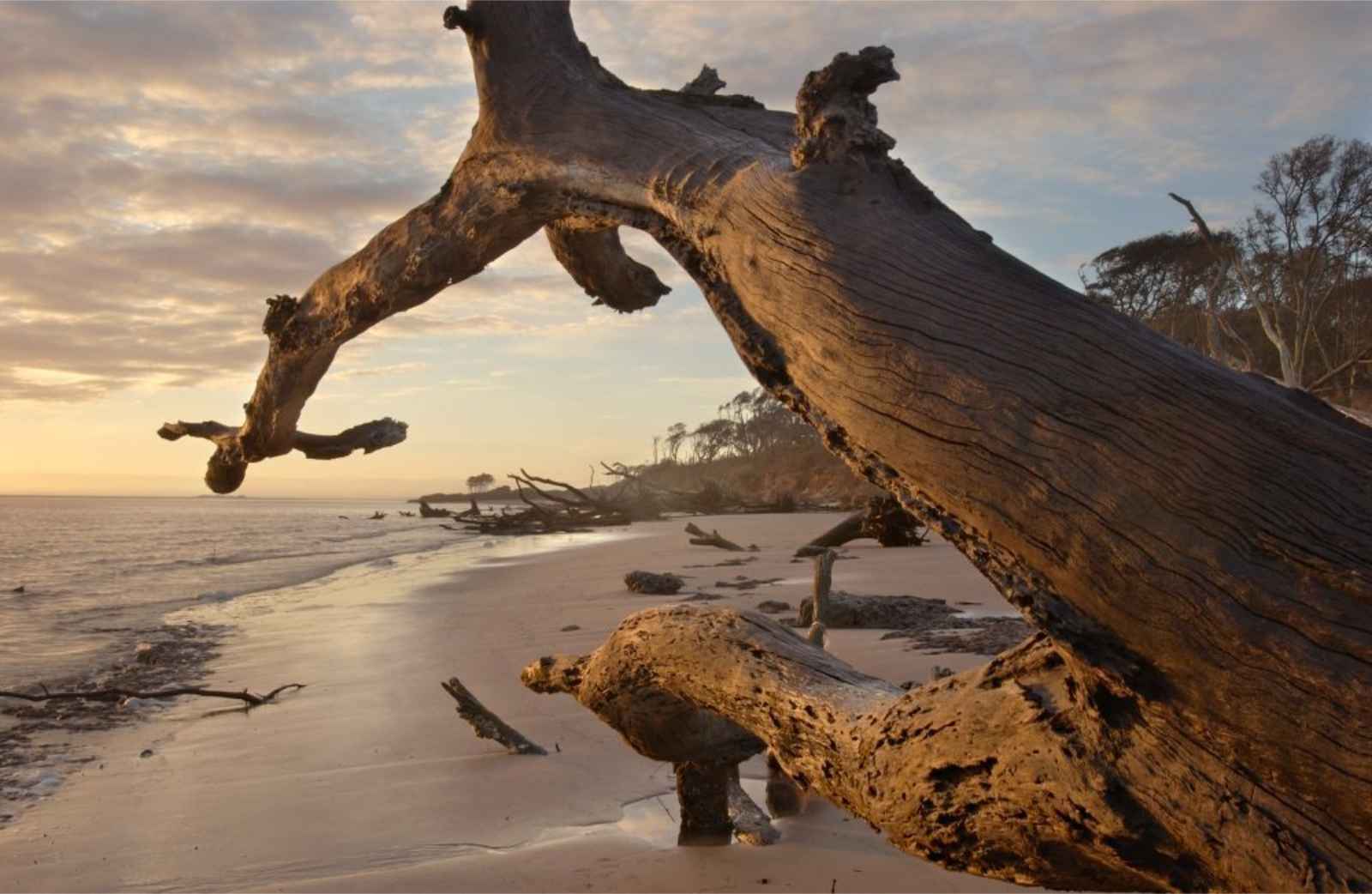 Things to do in Jacksonville Big Talbot Island Sunrise