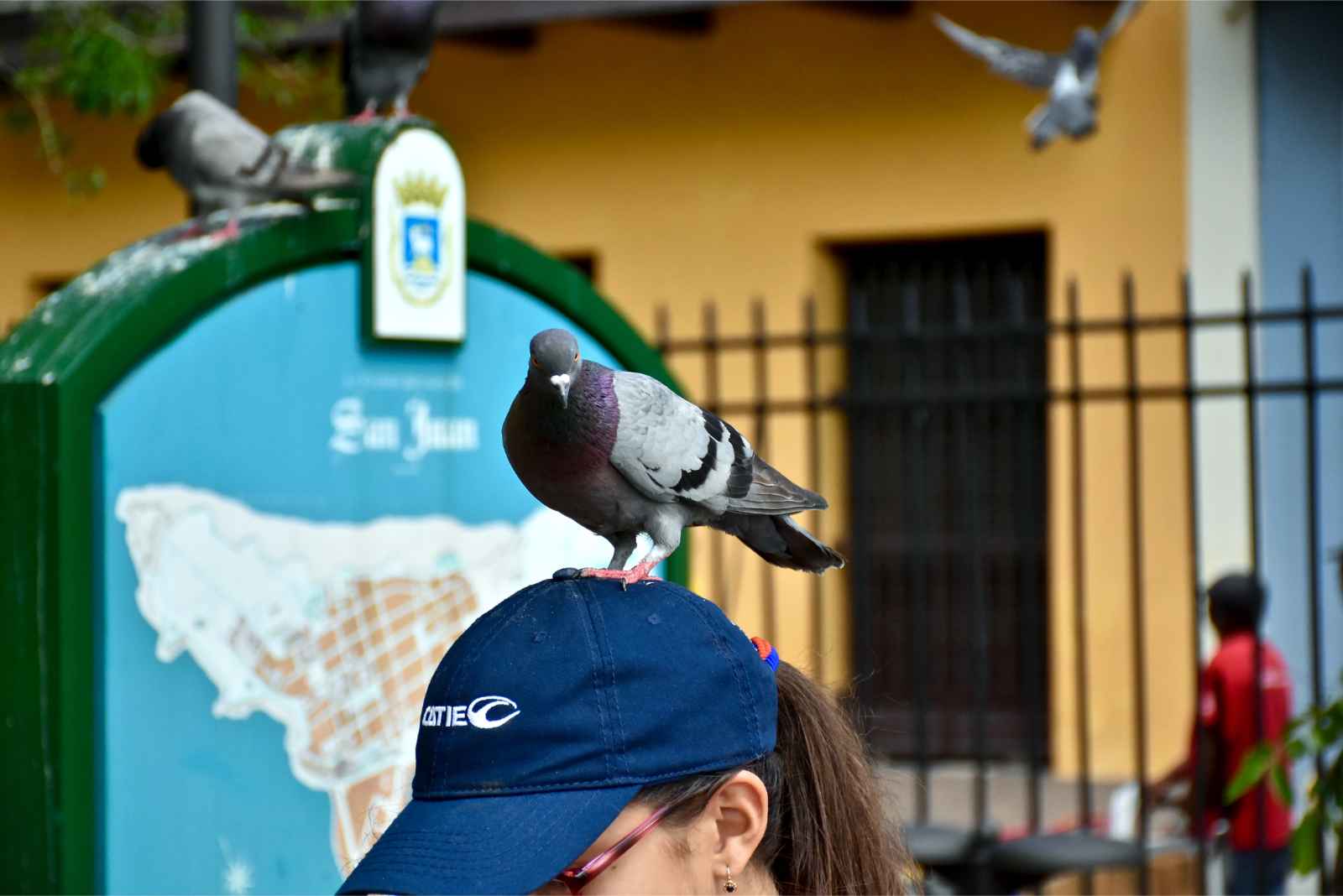 Is Puerto Rico Safe To Visit Bird Poop Scam