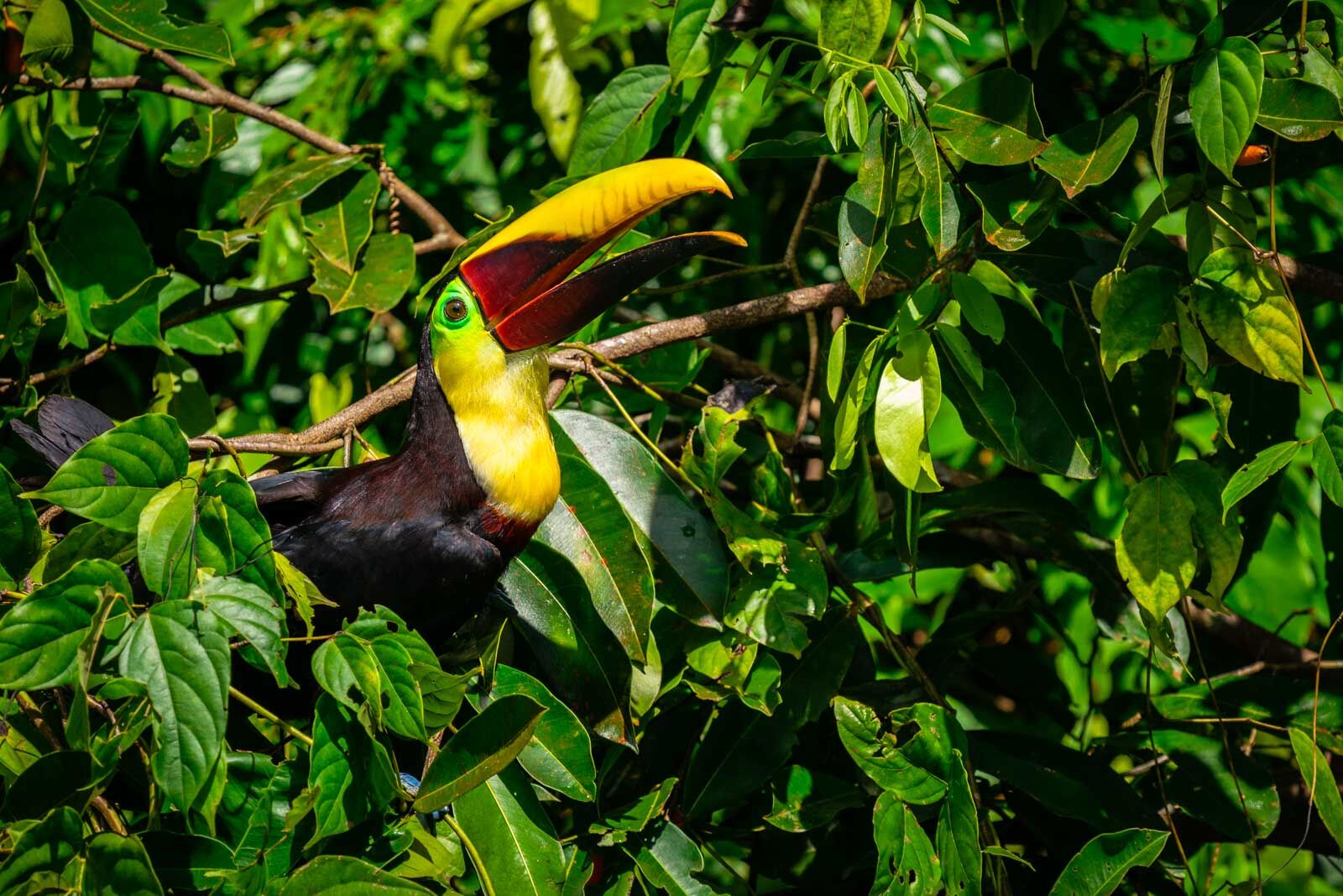 Spring Break Destinations Costa Rica