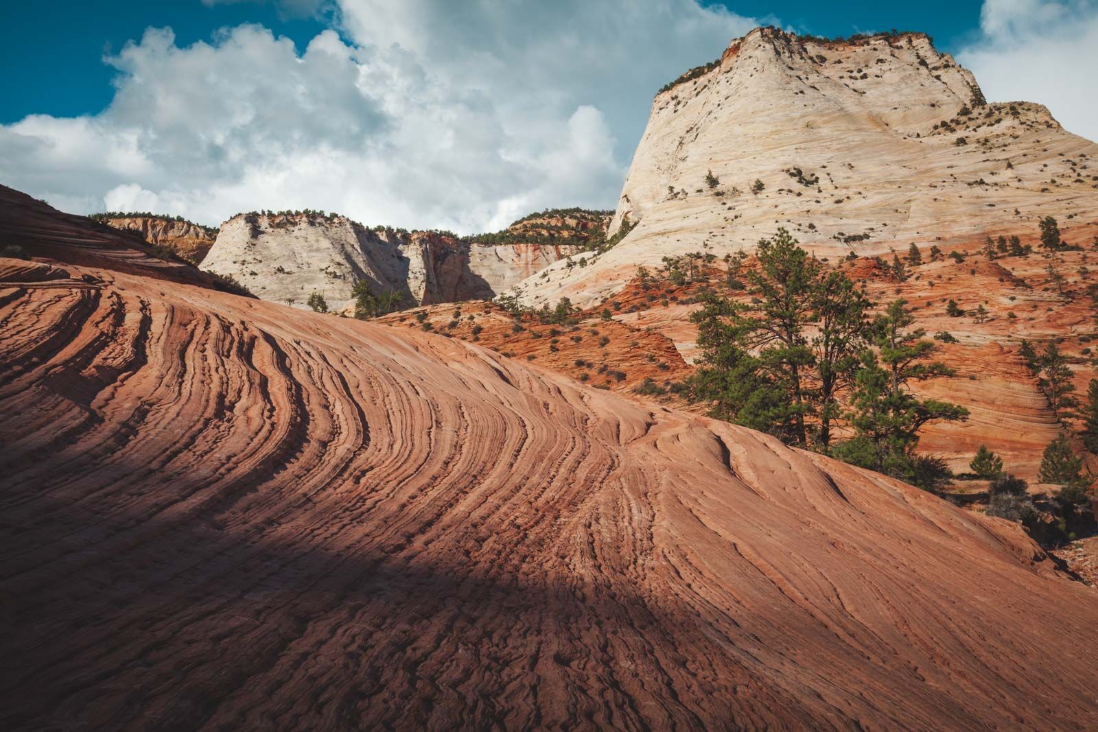 Best Places to take a summer vacation in the USa Zion Canyon