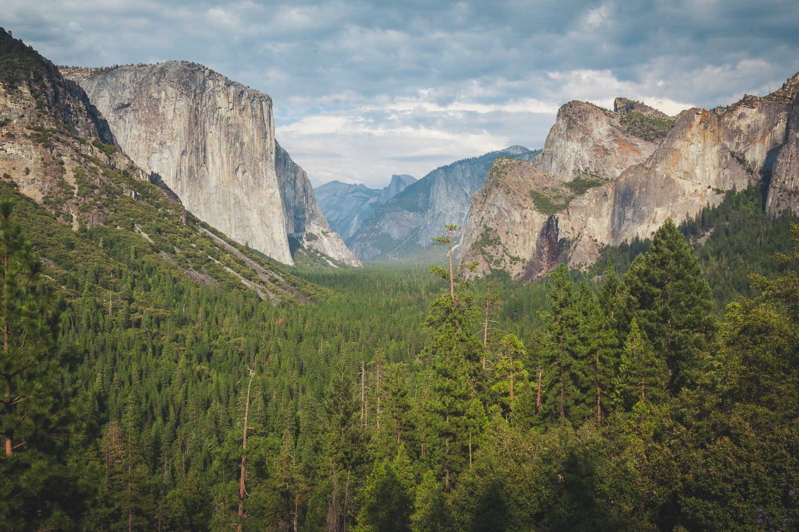 Visiting Yosemite in the Summer