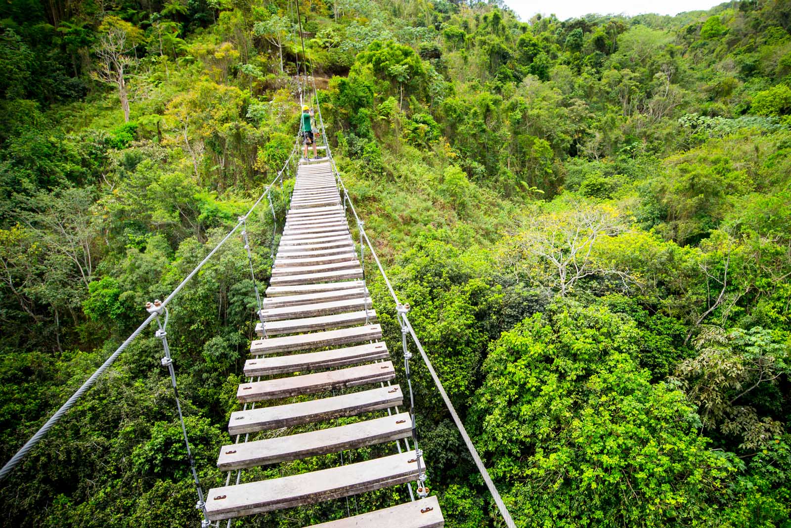 Fun things to do in Puerto Rico Zip-Lining At Toro Verde Adventure Park