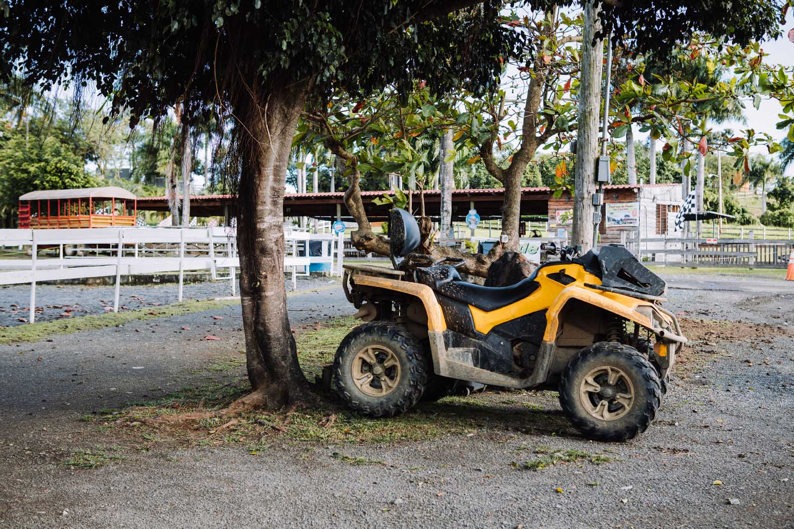 Best things to do in Puerto Rico Carabali Rainforest Adventure Park