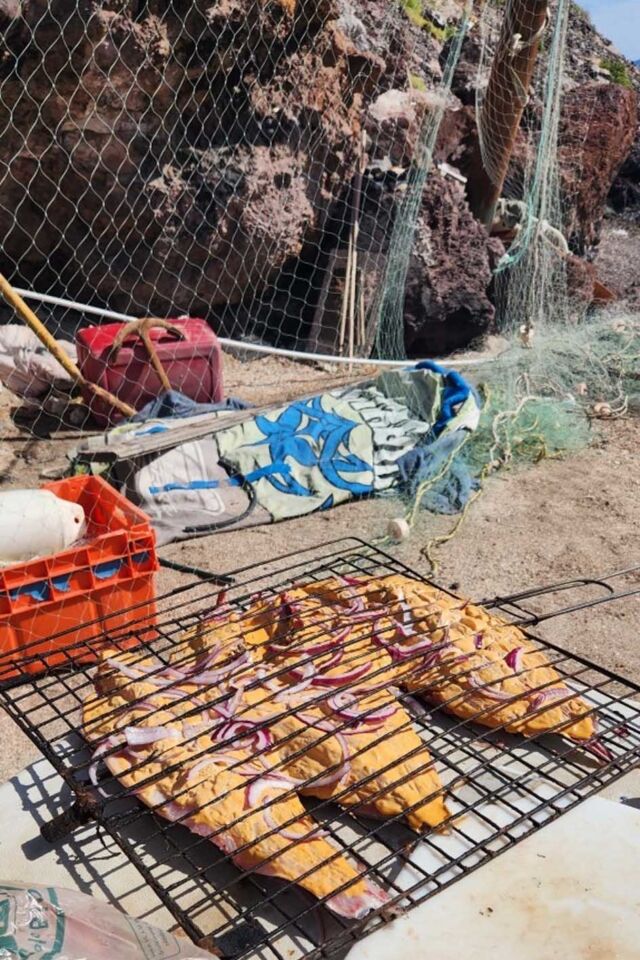 best of loreto baja california sur JD lunch