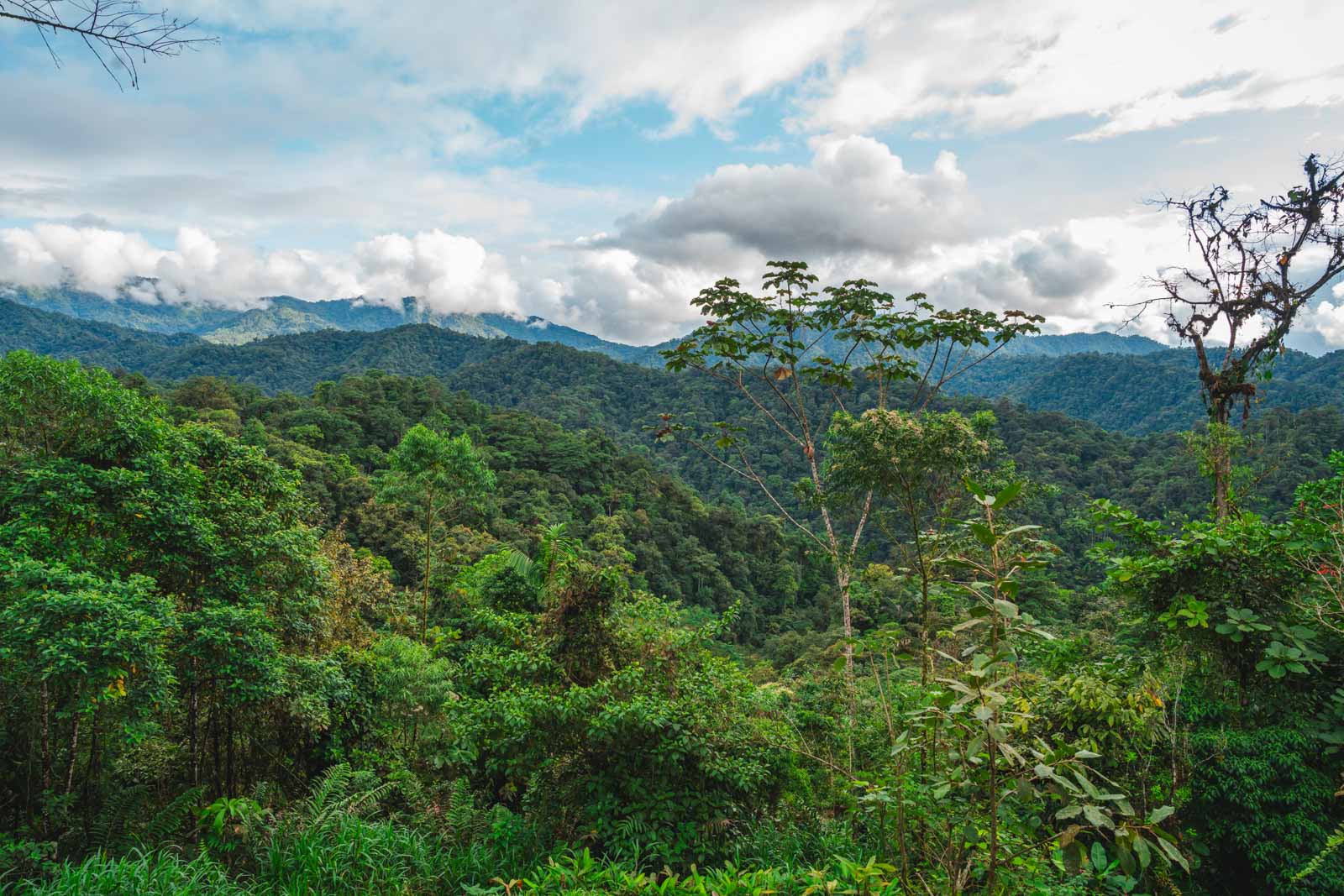 Best things to do in Quito Day Trip To the Pululahua Geobotanical Reserve