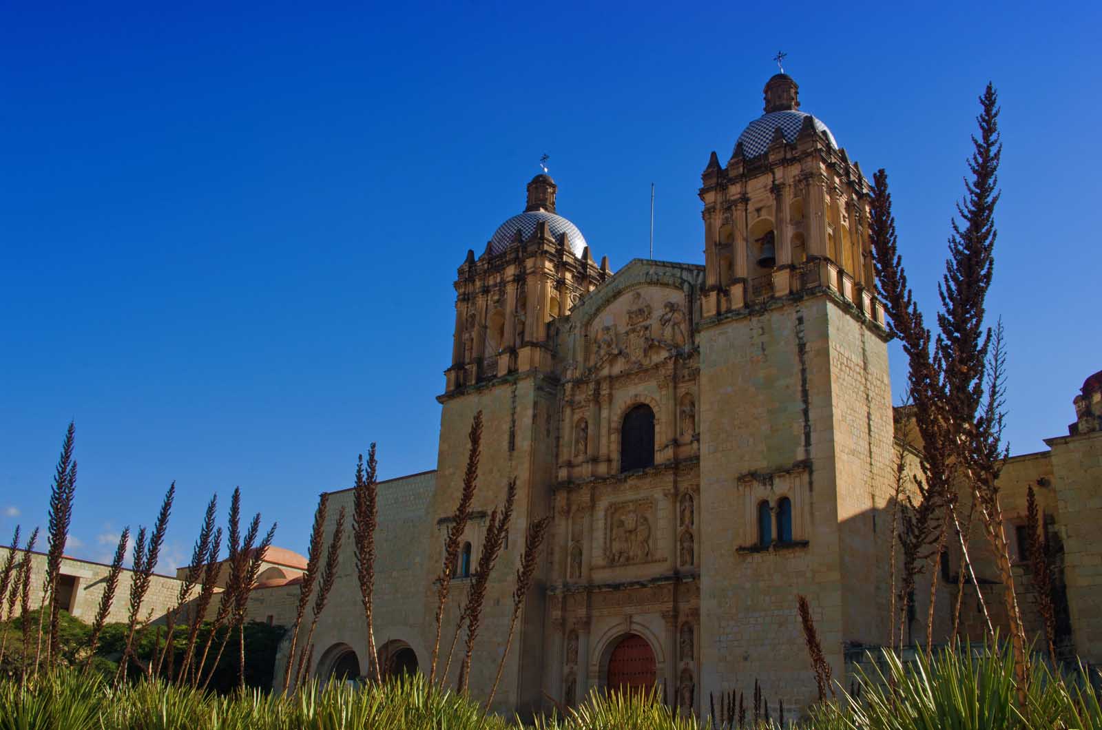 things to do in Oaxaca Templo de Santo Domingo de Guzmán