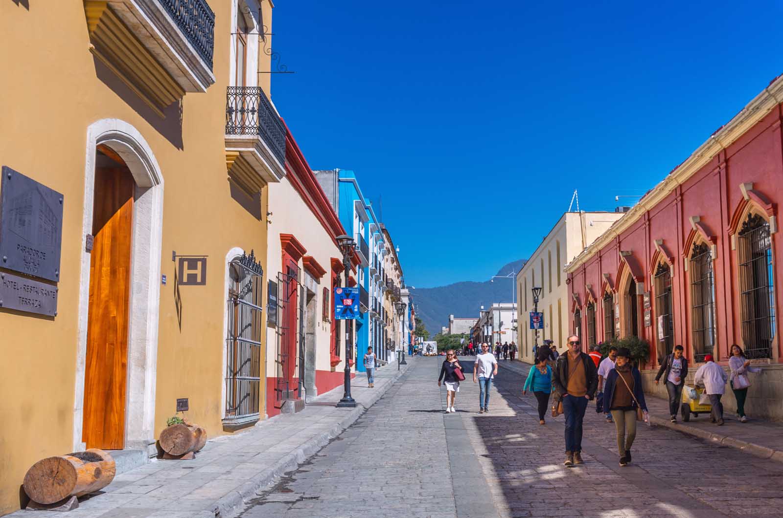 things to do in oaxaca walking tour