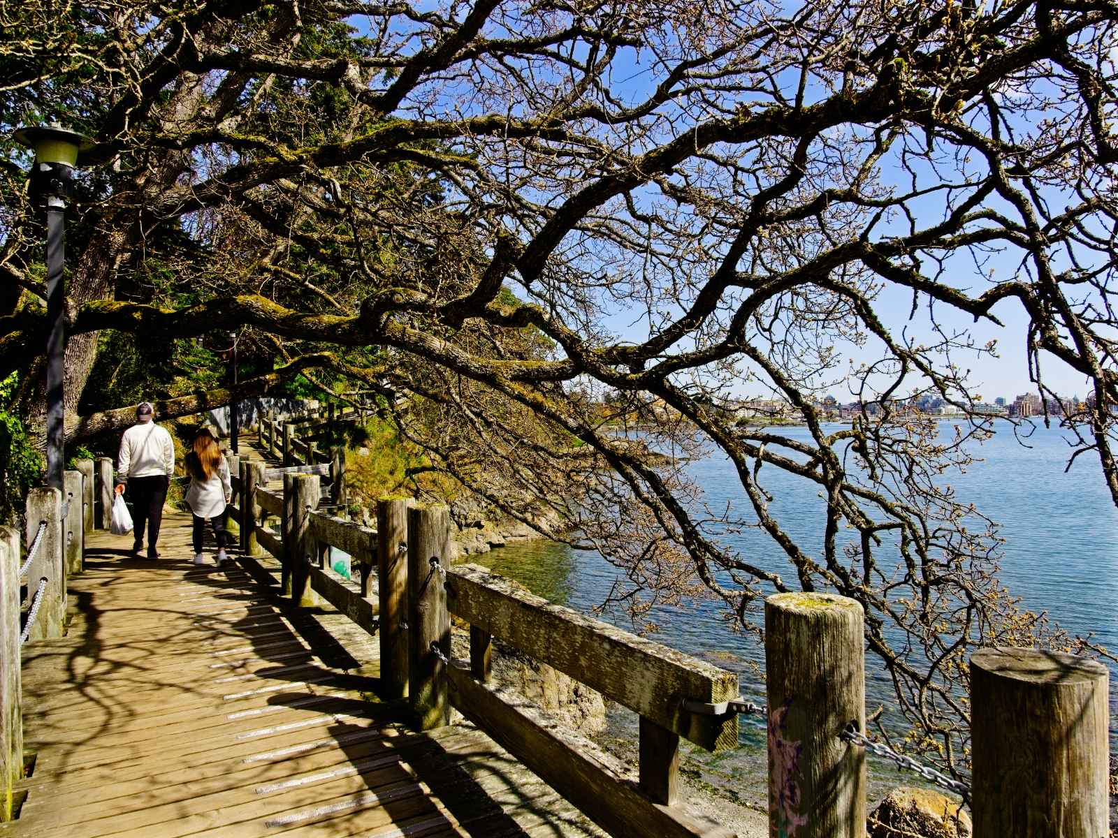 Things to do in Victoria BC Songhees Walkway